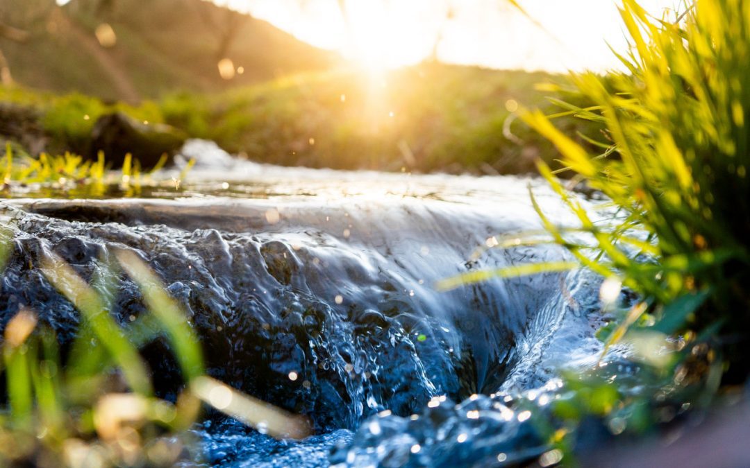 Giornata mondiale acqua, Fontana: serve attenzione e responsabilità – www.lombardianotizie.online