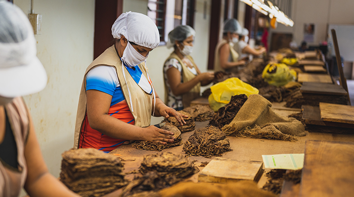Sentenze TAR Lazio sulle tariffe relative alle notifiche dei prodotti del tabacco e sigarette elettroniche – www.salute.gov.it