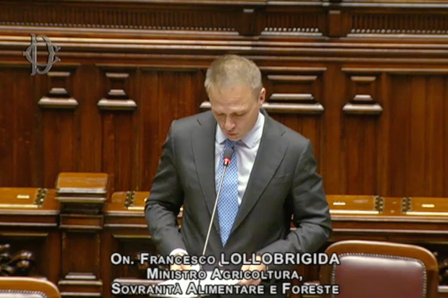Question Time del ministro Lollobrigida su mutui agrari e tutela del settore agricolo e dei consumatori – www.politicheagricole.it