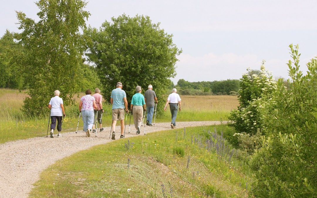 progetto con Interreg avvicina Lombardia e Svizzera – www.lombardianotizie.online
