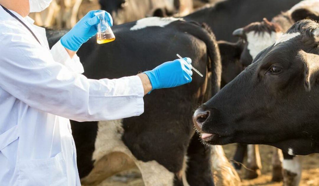 Veterinary drug residues in food decline again – www.efsa.europa.eu