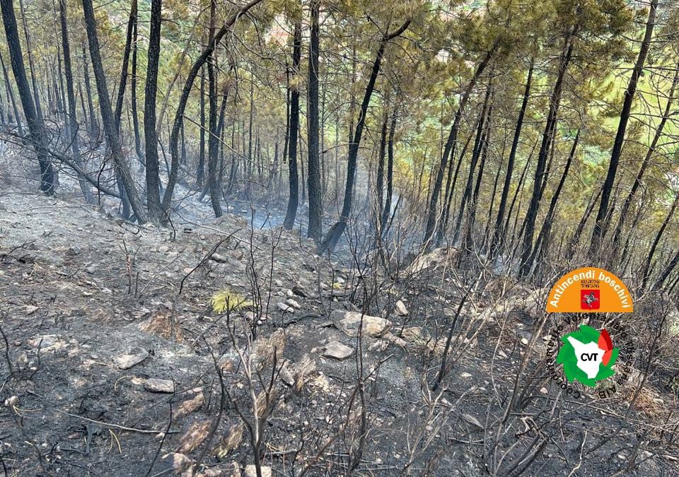 Incendio in località La Gabella in comune di Calci (Pi) 
						 – www.toscana-notizie.it