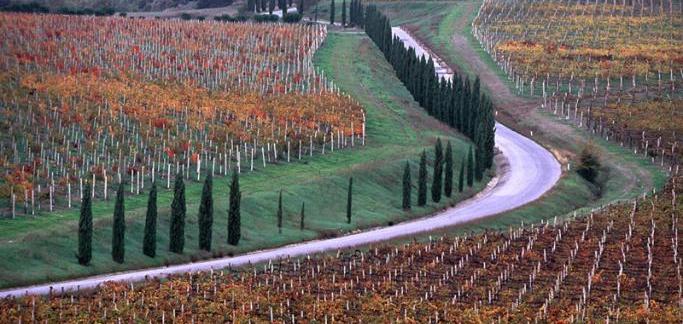Saccardi: “Insegnare enologia e turismo, investimento sul futuro” 
						 – www.toscana-notizie.it
