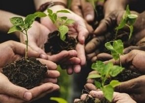 agricoltura sociale, il disegno di legge di iniziativa della giunta regionale verso la definitiva approvazione dopo il sì unanime della II commissione consiliare dell’assemblea legislativa – www.regione.umbria.it