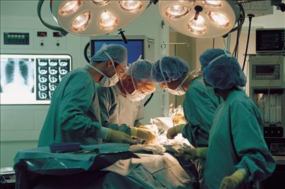 Giornata nazionale donazione organi – Assessore Saltamartini: “La generosita’ dei marchigiani salva molte vite". Appello per dar… – www.regione.marche.it