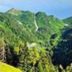 La rete europea Natura 2000 per la tutela della biodiversità – www.regione.fvg.it