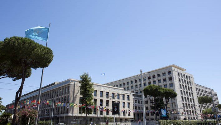 Salvini visita la sede della FAO dopo la ristrutturazione – www.mit.gov.it