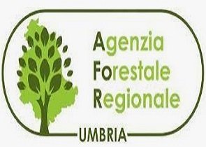 giunta regionale delibera nomina amministratore unico dell’afor, l’agenzia forestale regionale. scelto l’amministratore unico uscente maraghelli – www.regione.umbria.it