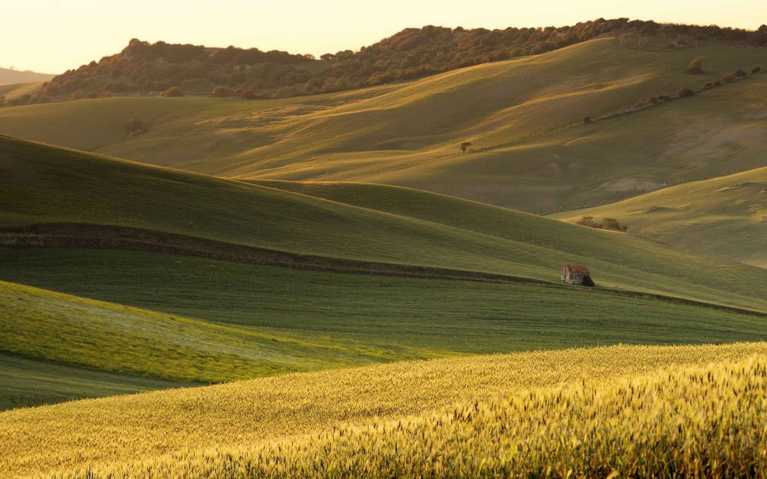 Valorizzare la Maremma: convenzione tra Ente Terre regionali e Ente Parco 
						 – www.toscana-notizie.it