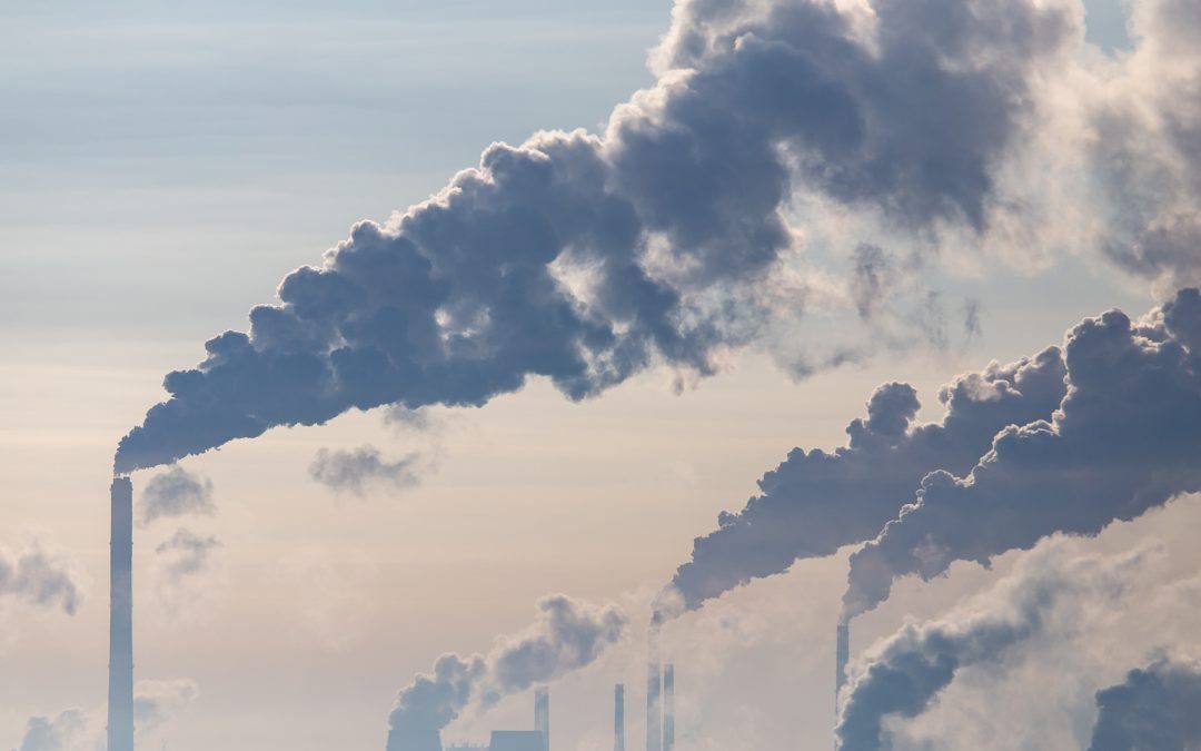 Fit for 55: Parliament adopts key laws to reach 2030 climate target | News – www.europarl.europa.eu