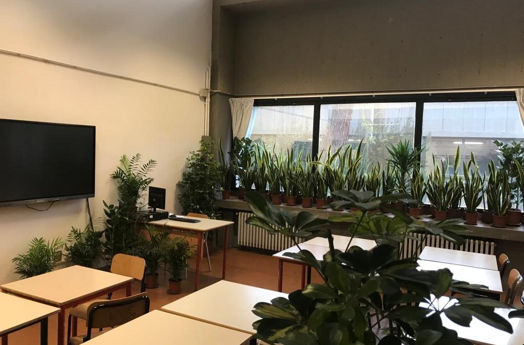 Piante in classe, risultati della sperimentazione mercoledì 26 aprile al Saffi di Firenze 
						 – www.toscana-notizie.it