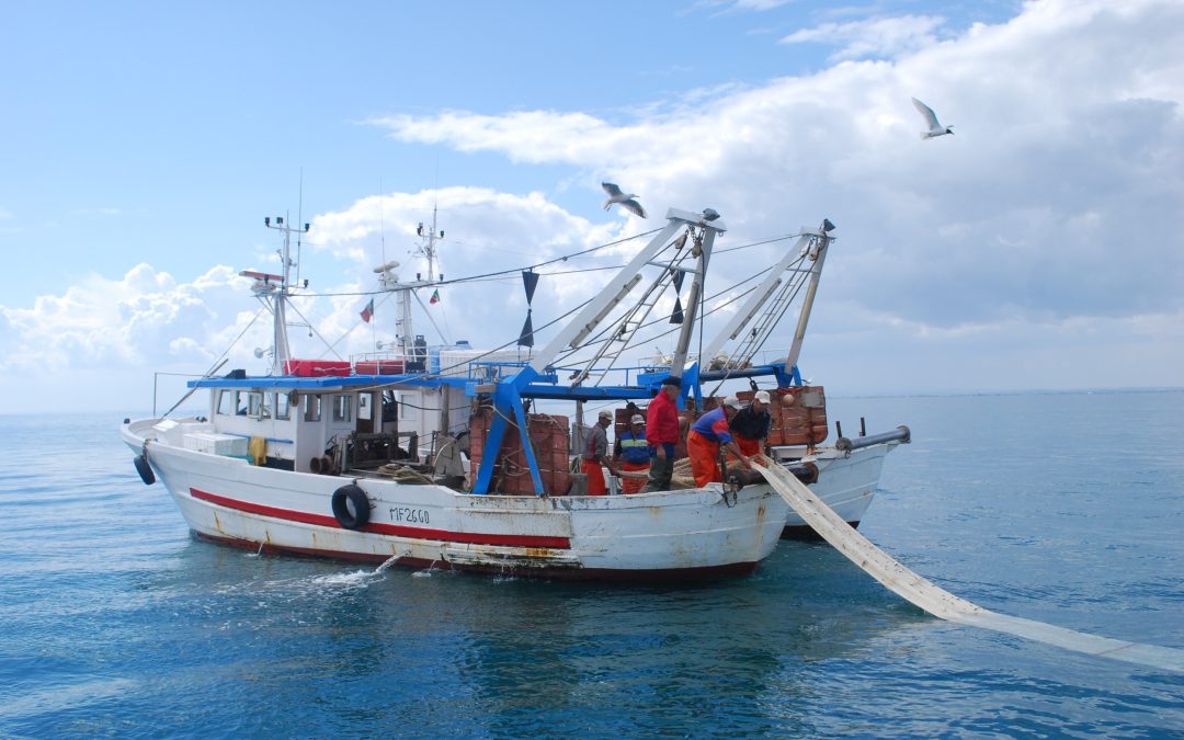 Pesca e acquacoltura, uscito il bando per compensazioni finanziarie 
						 – www.toscana-notizie.it