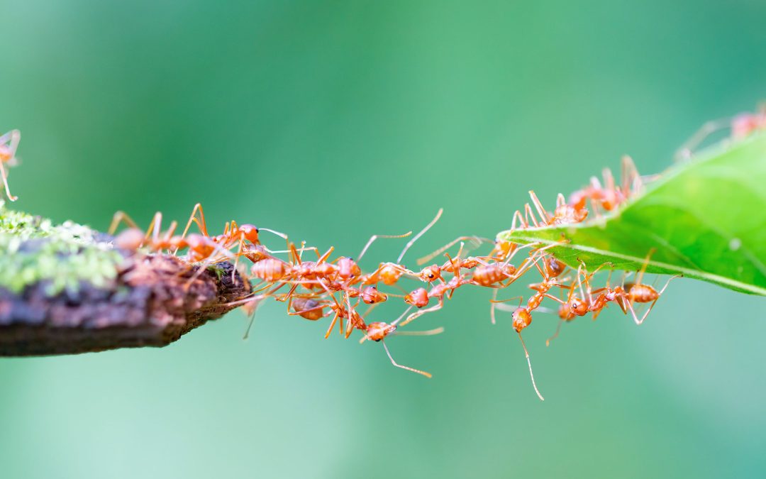 Definita la programmazione delle risorse del “Fondo per le politiche relative ai diritti e alle pari opportunità”, annualità 2022						 – www.sardegnaewelfare.it