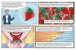 VERSO LA FRAGOLA DELLA BASILICATA IGP CON FUMETTO DI GIORDANO
		 – www.regione.basilicata.it
