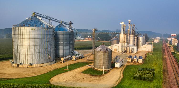 Agricoltura: con AG 4 Future Food Accelerator bando da 500mila euro per Pmi e startup


      
        Browse
      
    
    

            
  
    

      

  


          
   – www.sardegnaimpresa.eu