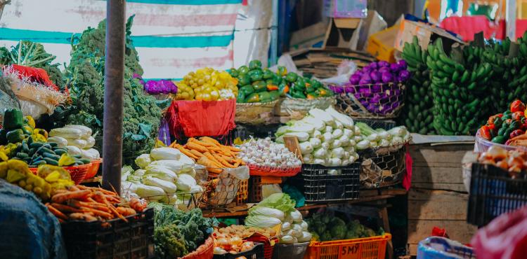 Agroalimentare, vetrina per il Made in Italy alla fiera internazionale FHC in Cina


      
        Browse
      
    
    

            
  
    

      

  


          
   – www.sardegnaimpresa.eu