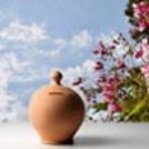 Sviluppare mercato e assicurare operatività 
                           
                           
                                
				    					
				             	Assicurare l’operatività
                              	Garanzie dei Confidi regionali
                            
                         – www.regione.fvg.it