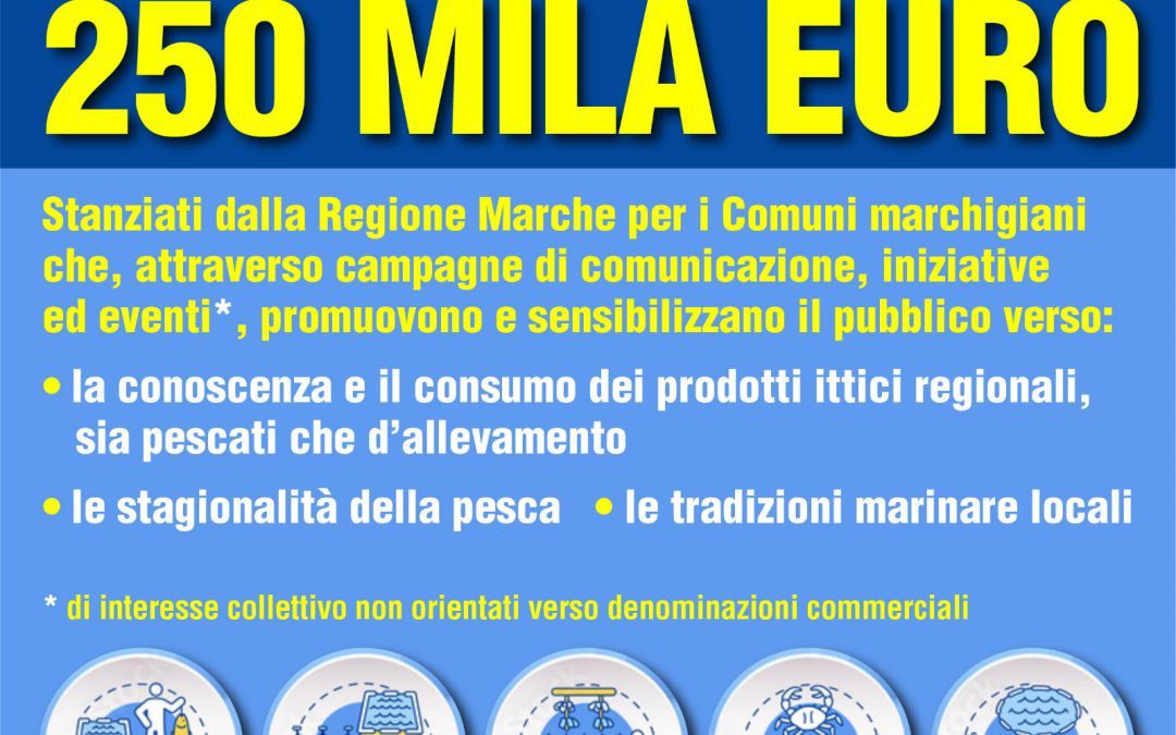 News – www.regione.marche.it