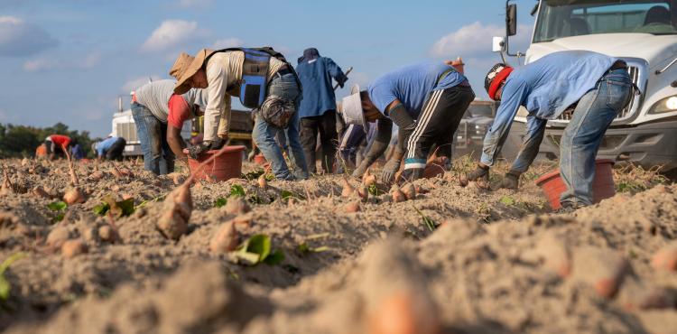 Lotta al lavoro nero: in vigore decreti che istituiscono il Comitato nazionale per prevenzione e contrasto


      
        Browse
      
    
    

            
  
    

      

  


          
   – www.sardegnaimpresa.eu