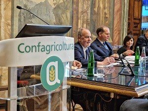 Dipartimento per gli Affari Regionali – www.affariregionali.it