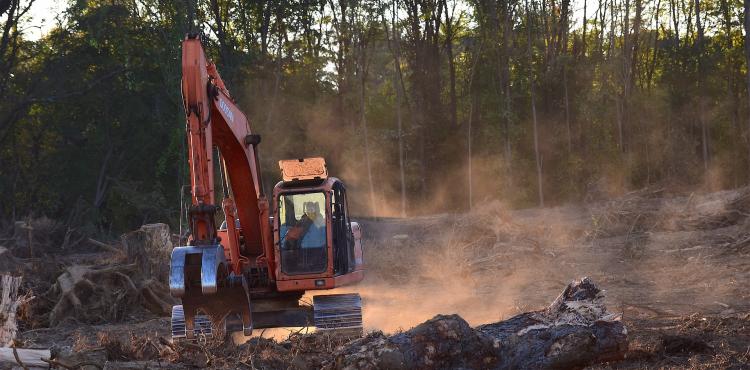 Nuove norme Ue per limitare la deforestazione: in commercio solo prodotti che non siano all’origine di disboscamenti


      
        Browse
      
    
    

            
  
    

      

  


          
   – www.sardegnaimpresa.eu