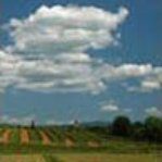 Paesaggio – www.regione.fvg.it