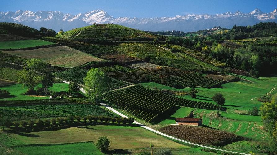 Riconosciuti il Distretto del cibo e del vino Langhe – Monferrato e il Distretto del cibo del Roero
 – www.regione.piemonte.it