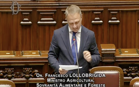 Question Time del ministro Lollobrigida alla Camera dei Deputati – www.politicheagricole.it