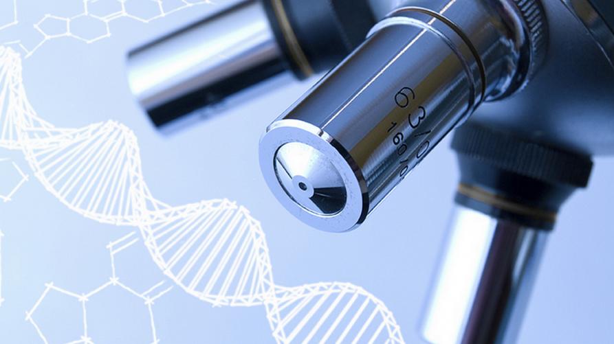 Mesotelioma: concordate le procedure per i nuovi progetti da avviare entro l’anno
 – www.regione.piemonte.it