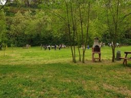 Avviso Pubblico per la concessione di contributi a fondo perduto a sostegno di parchi tematici, acq… – www.regione.campania.it