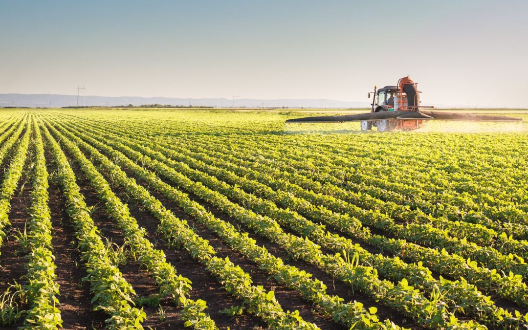 Pesticidi negli alimenti: pubblicati gli ultimi dati – www.efsa.europa.eu