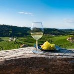 Â
Valorizzare e promuovere il territorio
Produzioni di film e audiovisivi per la promozione del territorio
– www.regione.fvg.it