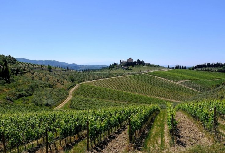 Psr, variato il piano finanziario. Saccardi: “Si possono scorrere le graduatorie aperte” 
						 – www.toscana-notizie.it