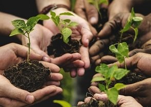 agricoltura sociale: l’umbria si dota di una legge che rafforza la funzione sociale e il valore aggiunto delle imprese agricole, la soddisfazione del vicepresidente e assessore della regione, Roberto Morroni – www.regione.umbria.it