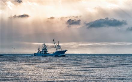 Contributi della Regione Marche a favore delle imprese della pesca e della acquacoltura – www.regione.marche.it