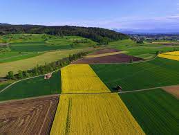 Sostegno allo sviluppo aree rurali Leader, sì a linee indirizzo del bando in uscita 
						 – www.toscana-notizie.it