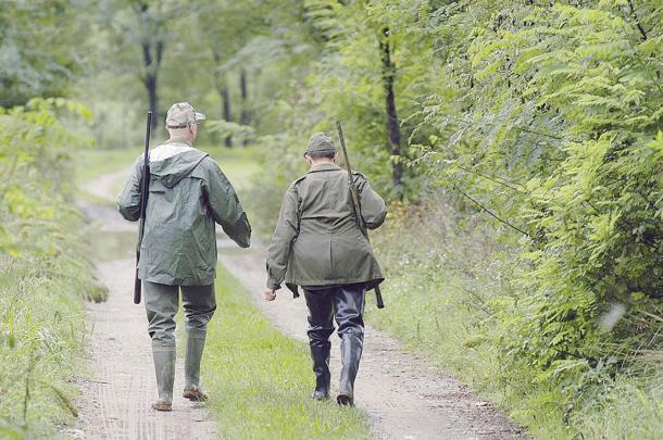 Carni da selvaggina, giunta recepisce linee guida nazionali 
						 – www.toscana-notizie.it
