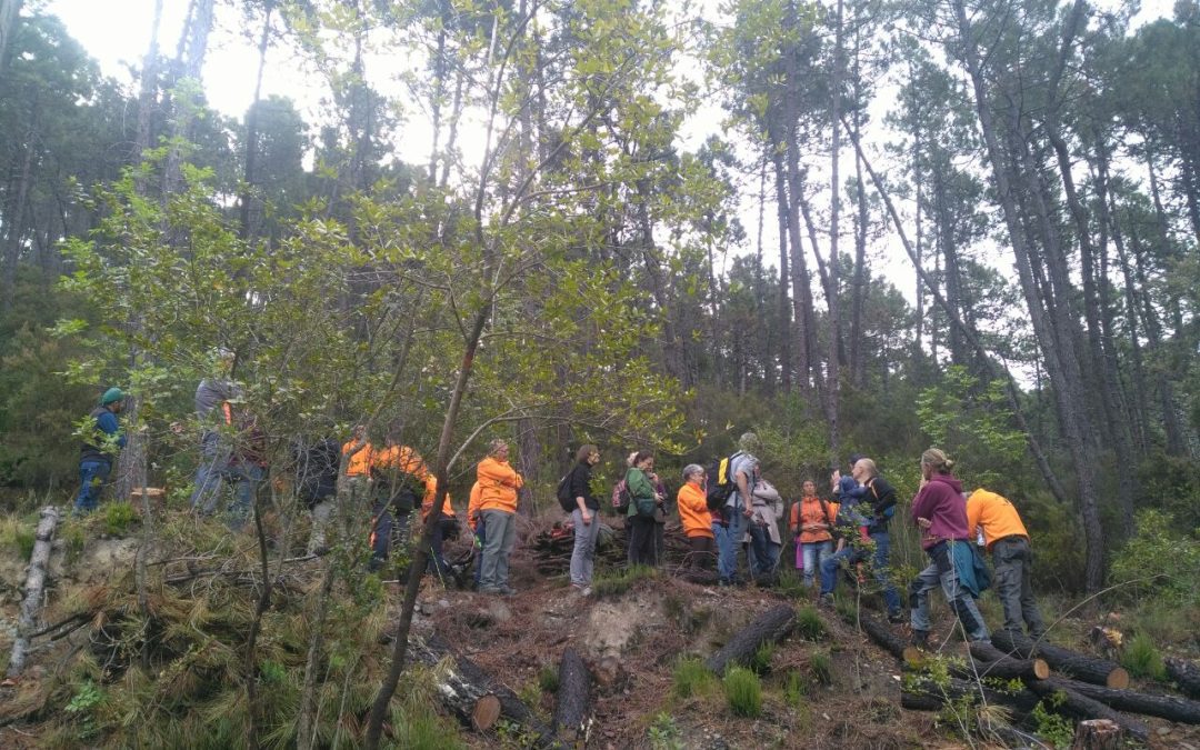 Giornata mondiale prevenzione incendi boschivi, tre eventi in Toscana il 6 e il 13 maggio 
						 – www.toscana-notizie.it