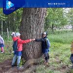 BASILICATA IN PODCAST, BIODIVERSITÃ E ALBERI PATRIARCHI
		 – www.regione.basilicata.it