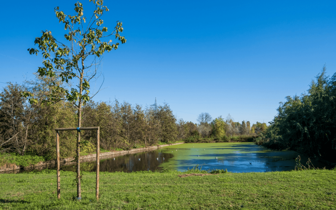 Parco agricolo Sud Milano, Federici commissario. Comazzi: buon lavoro – www.lombardianotizie.online