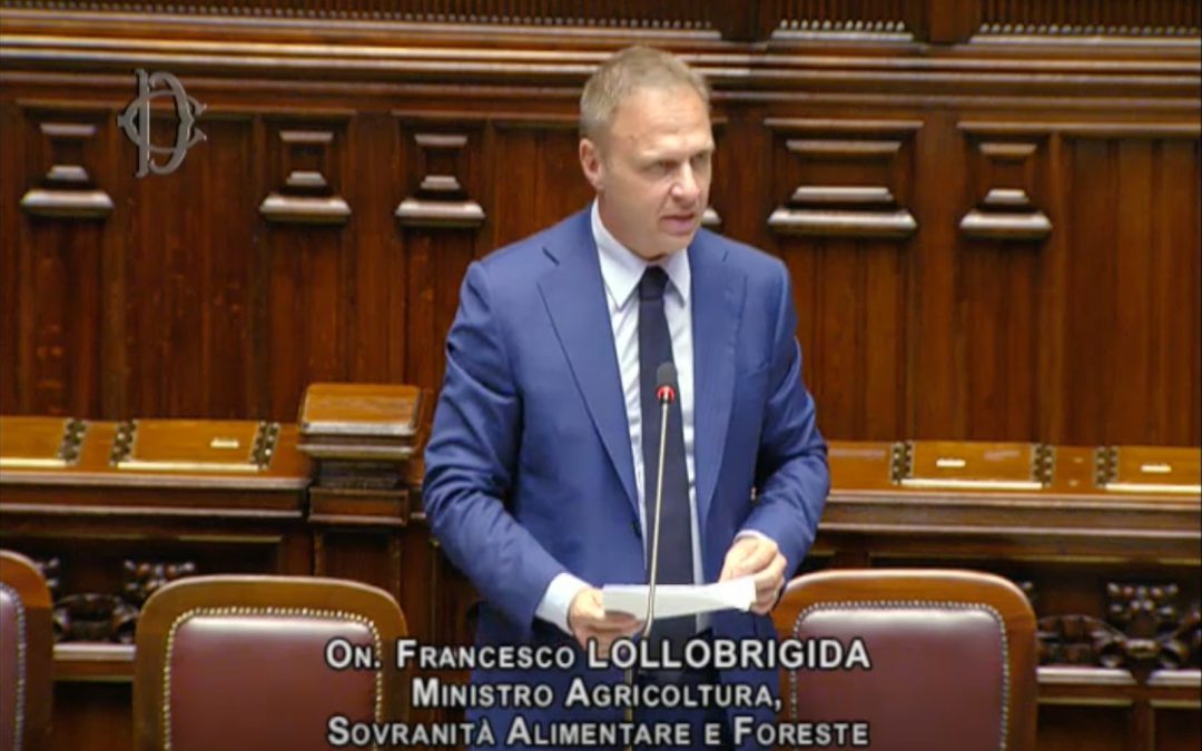 Question Time del ministro Lollobrigida alla Camera dei Deputati – www.politicheagricole.it