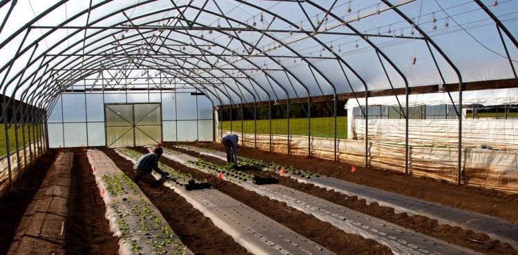 Imprese agricole, misure di welfare aziendale per assunzione di manodopera


      
        Browse
      
    
    

            
  
    

      

  


          
   – www.sardegnaimpresa.eu