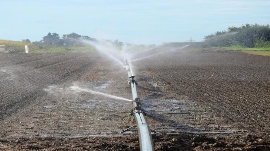 Bando da 5,5 milioni per investimenti irrigui nelle aziende agricole 
 – www.regione.piemonte.it