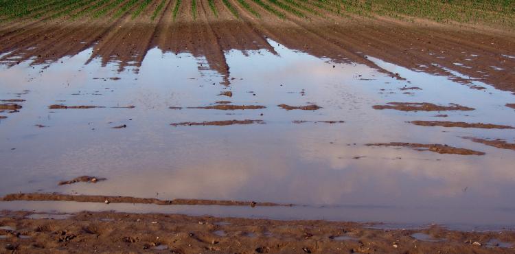 Agricoltura: portale web per le denunce di danni da catastrofi naturali


      
        Browse
      
    
    

            
  
    

      

  


          
   – www.sardegnaimpresa.eu