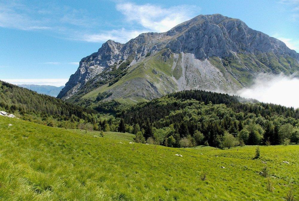 Documento operativo per la conservazione e valorizzazione del patrimonio naturalistico   – www.regione.toscana.it