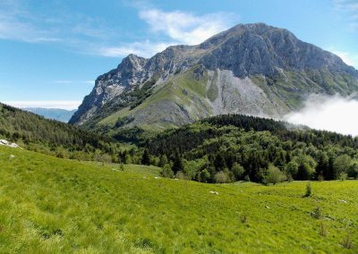 Documento operativo per la conservazione e valorizzazione del patrimonio naturalistico – www.regione.toscana.it