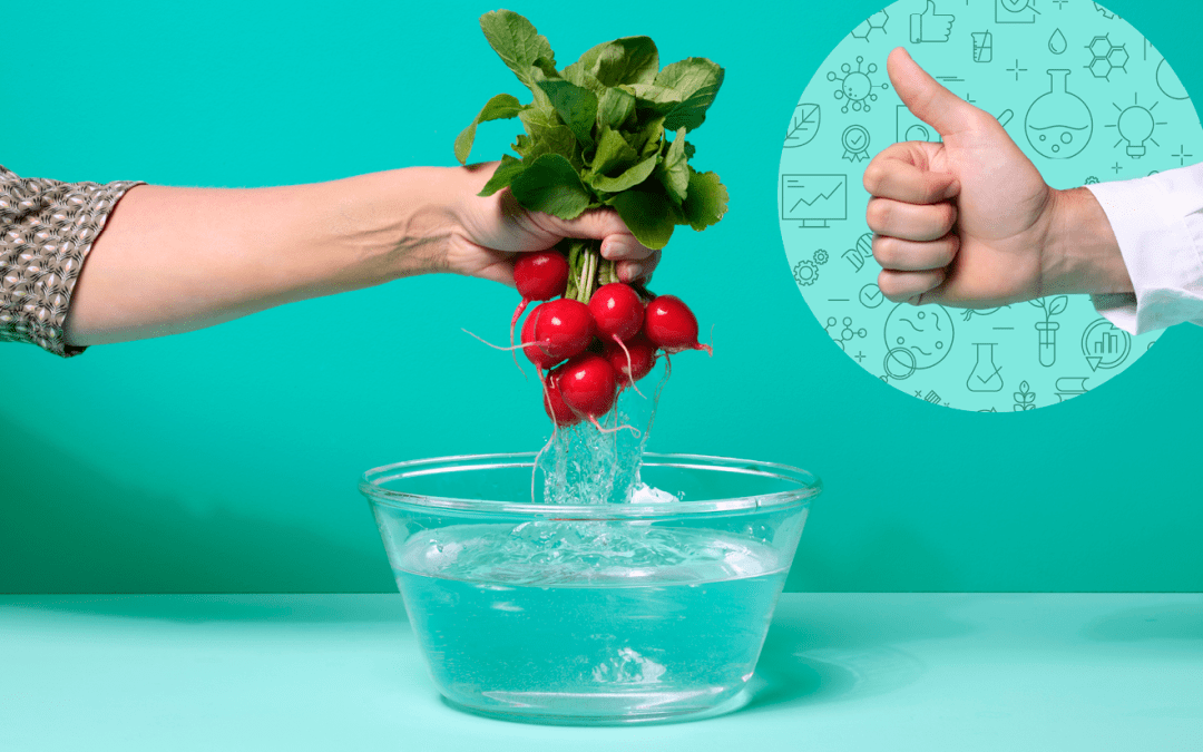 Torna #EUChooseSafeFood, e con ancora più Paesi a bordo! – www.efsa.europa.eu