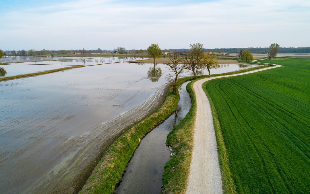 Siccità, intesa Lombardia-Piemonte, una cabina regia per l’Est-Sesia – www.lombardianotizie.online
