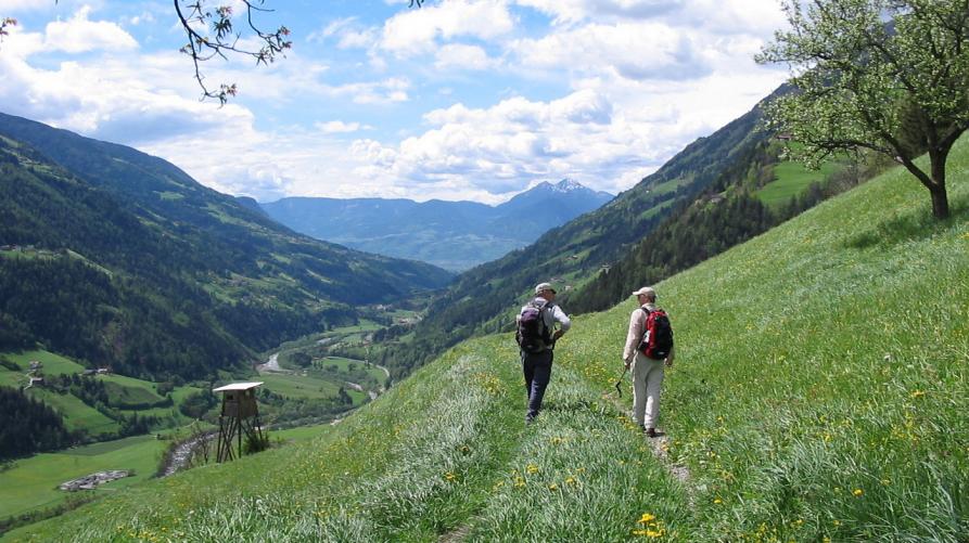 Oltre 9 milioni per le “comunità verdi”
 – www.regione.piemonte.it