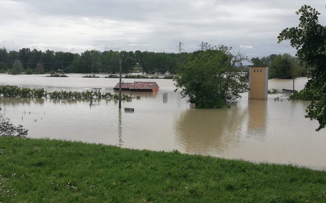 Vigili del Fuoco Bergamo salvano bimbo di 15 giorni sulle colline di Cesena – www.lombardianotizie.online